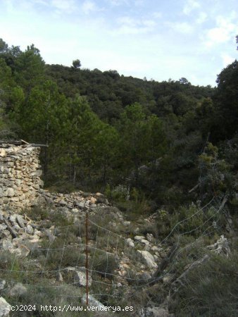 Finca en venta en Beceite (Teruel)