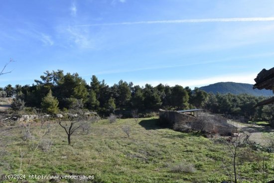 Finca en venta en Ráfales (Teruel)