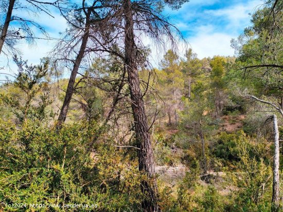 Finca en venta en Beceite (Teruel)