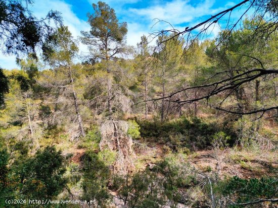 Finca en venta en Beceite (Teruel)