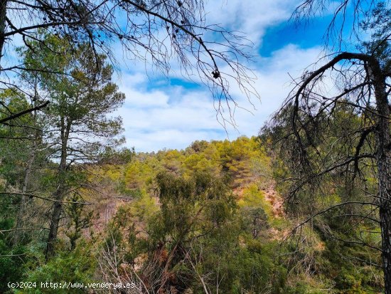 Finca en venta en Beceite (Teruel)