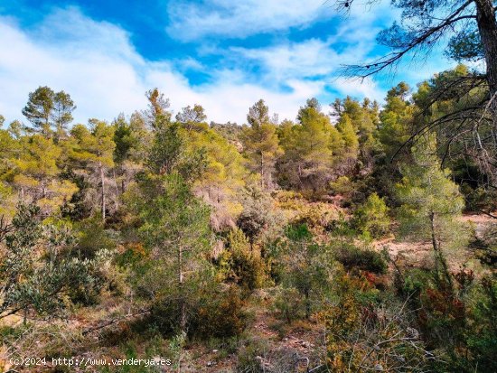 Finca en venta en Beceite (Teruel)