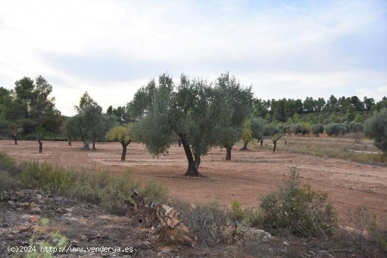  Finca en venta en Valderrobres (Teruel) 