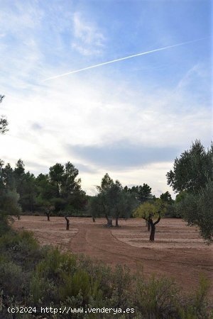 Finca en venta en Valderrobres (Teruel)