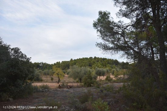 Finca en venta en Valderrobres (Teruel)