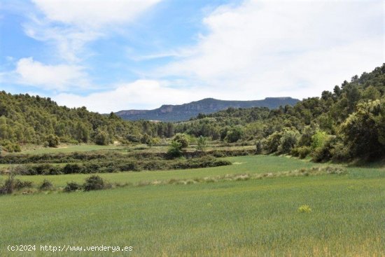 Finca en venta en Valderrobres (Teruel)