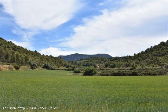 Finca en venta en Valderrobres (Teruel)