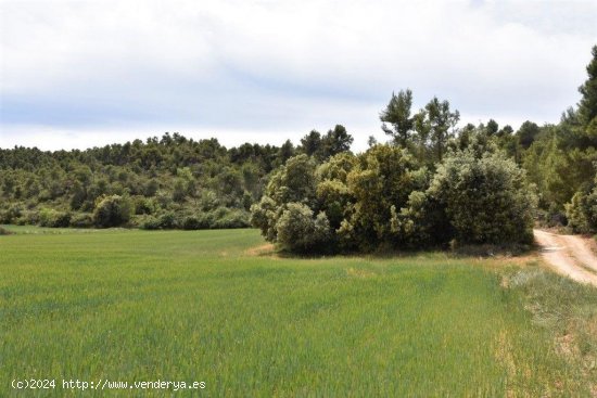 Finca en venta en Valderrobres (Teruel)