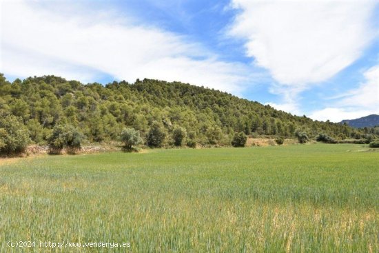 Finca en venta en Valderrobres (Teruel)