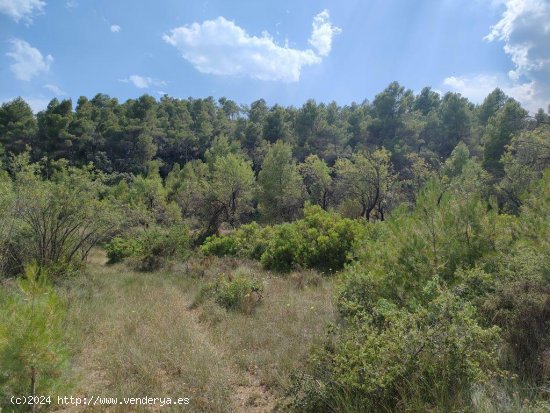  Finca en venta en La Fresneda (Teruel) 