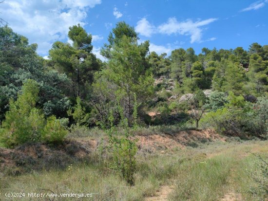 Finca en venta en La Fresneda (Teruel)