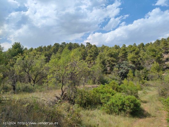 Finca en venta en La Fresneda (Teruel)