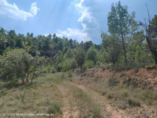 Finca en venta en La Fresneda (Teruel)