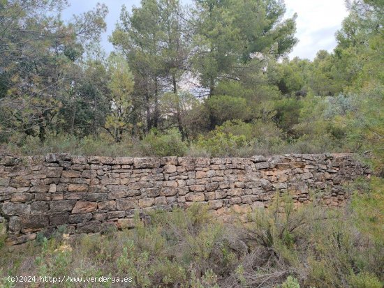 Finca en venta en La Fresneda (Teruel)