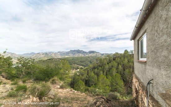 Finca en venta en Benifallet (Tarragona)