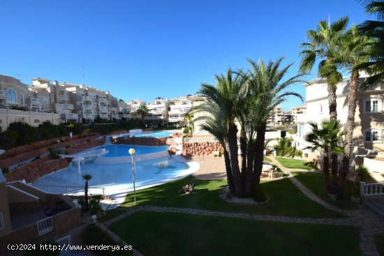  Apartamento en alquiler en Guardamar del Segura (Alicante) 