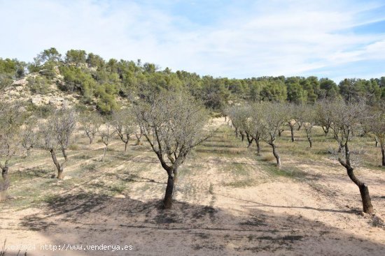  Finca en venta en Calaceite (Teruel) 