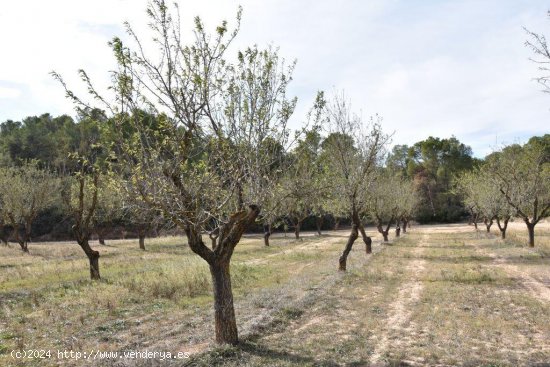 Finca en venta en Calaceite (Teruel)