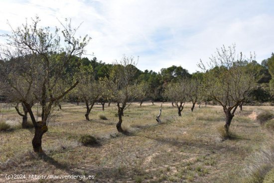 Finca en venta en Calaceite (Teruel)