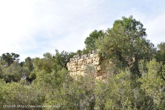 Finca en venta en Calaceite (Teruel)