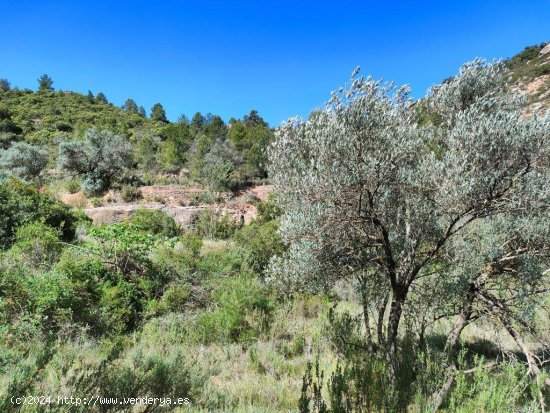 Finca en venta en Calaceite (Teruel)