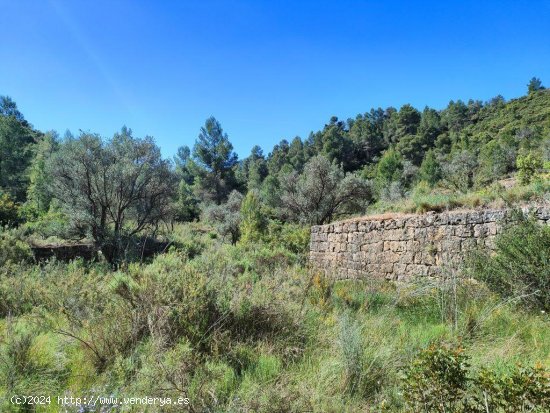 Finca en venta en Calaceite (Teruel)