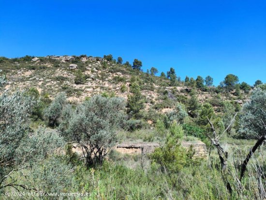 Finca en venta en Calaceite (Teruel)