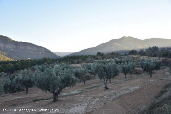 Finca en venta en Valderrobres (Teruel)