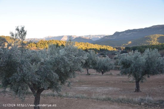 Finca en venta en Valderrobres (Teruel)