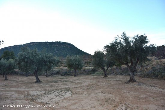 Finca en venta en Valderrobres (Teruel)