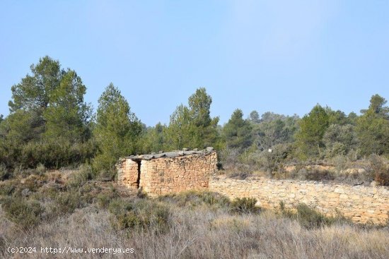  Finca en venta en La Fresneda (Teruel) 