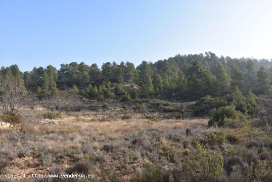 Finca en venta en La Fresneda (Teruel)