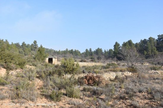 Finca en venta en La Fresneda (Teruel)