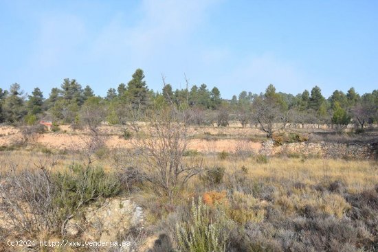 Finca en venta en La Fresneda (Teruel)