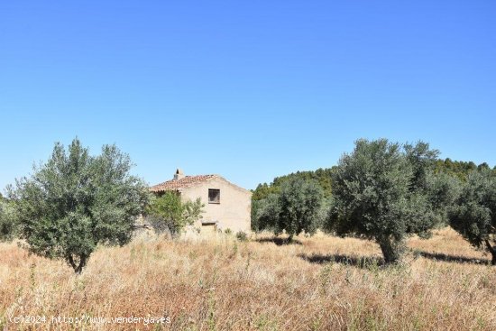 Finca en venta en Arens de Lledó (Teruel)