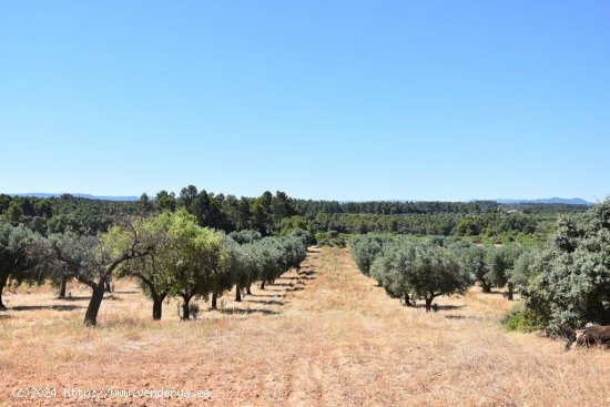 Finca en venta en Arens de Lledó (Teruel)