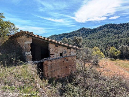  Finca en venta en Fuentespalda (Teruel) 