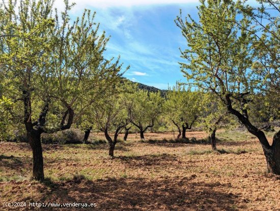 Finca en venta en Fuentespalda (Teruel)