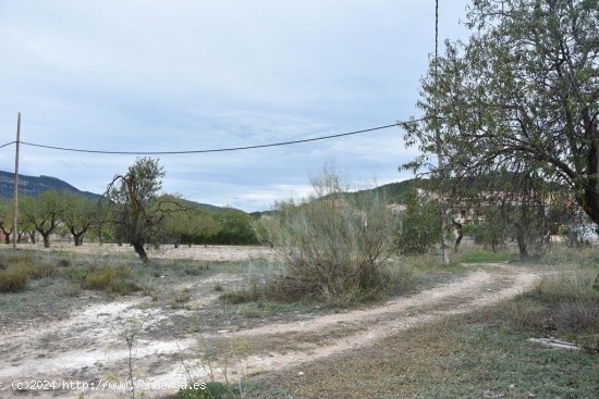  Finca en venta en Valderrobres (Teruel) 