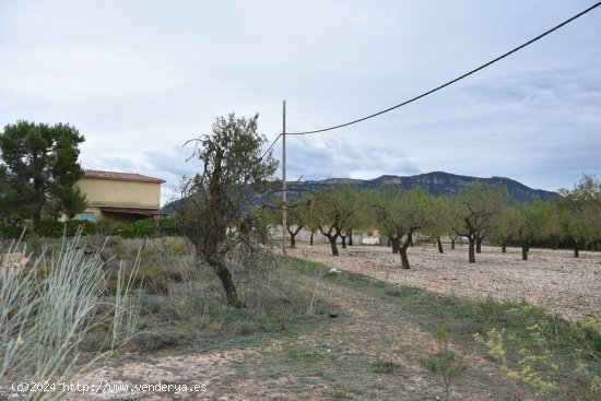 Finca en venta en Valderrobres (Teruel)