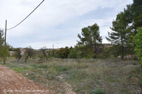 Finca en venta en Valderrobres (Teruel)