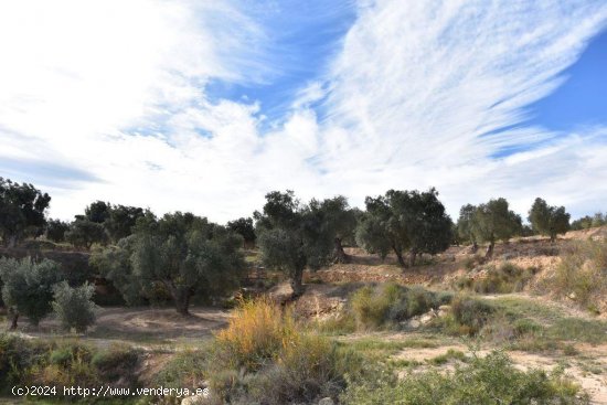 Finca en venta en Calaceite (Teruel)