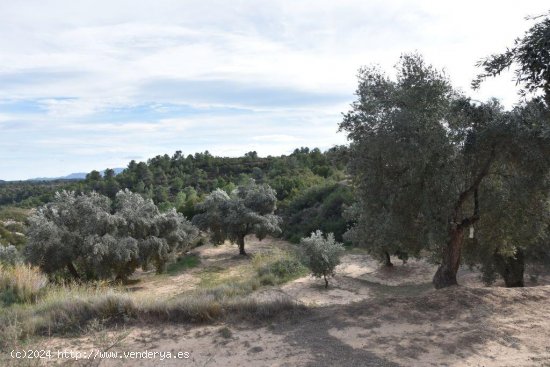 Finca en venta en Calaceite (Teruel)