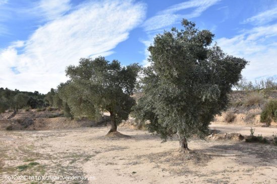 Finca en venta en Calaceite (Teruel)