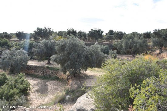 Finca en venta en Calaceite (Teruel)