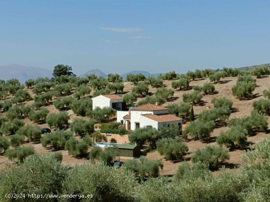 Finca en venta en Íllora (Granada)