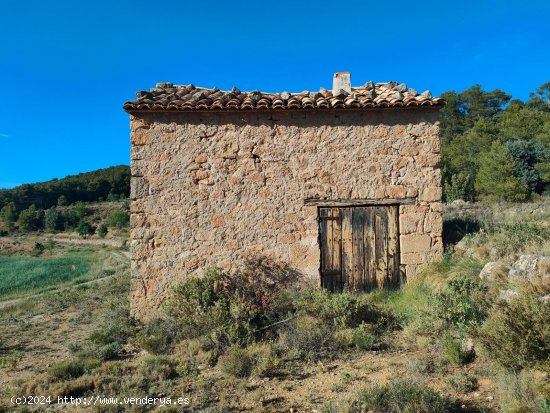 Finca en venta en Valderrobres (Teruel)