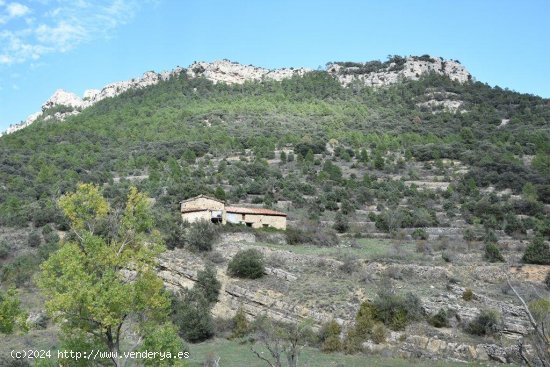 Finca en venta en La Pobla de Benifassà (Castellón)