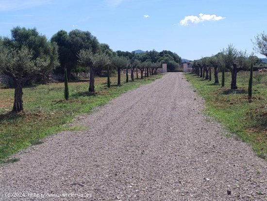 Solar en venta en Manacor (Baleares)