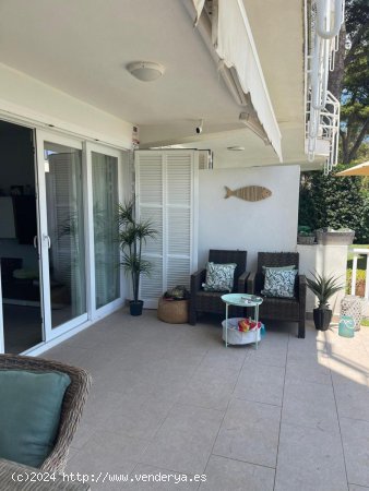 Apartamento en alquiler en Alcúdia (Baleares)